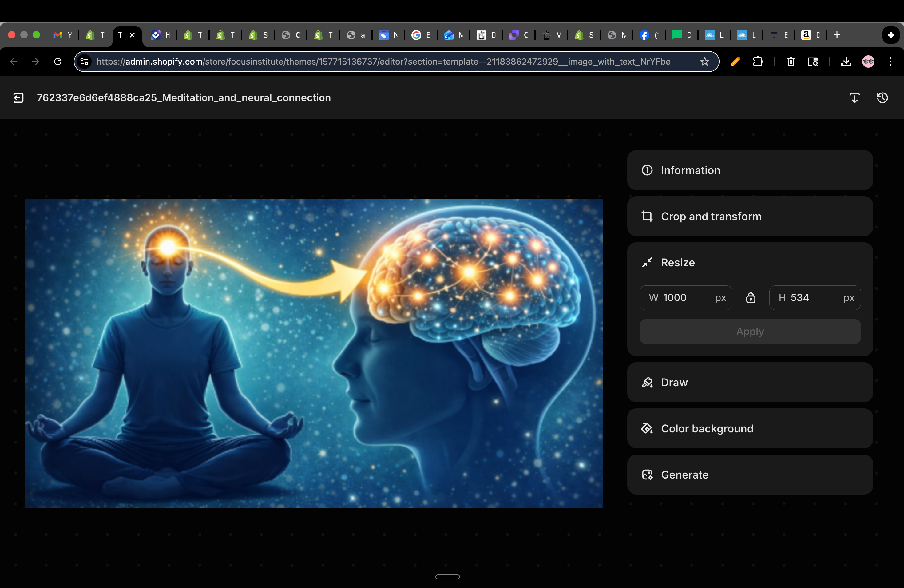 Meditation And Your Brain; Breathe Your Way To Well-Being (E-Book)